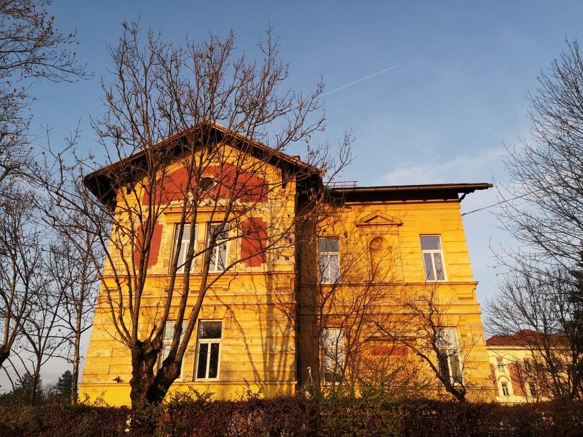 Unique Vila Veselova, Ljubljana City Center Eksteriør billede